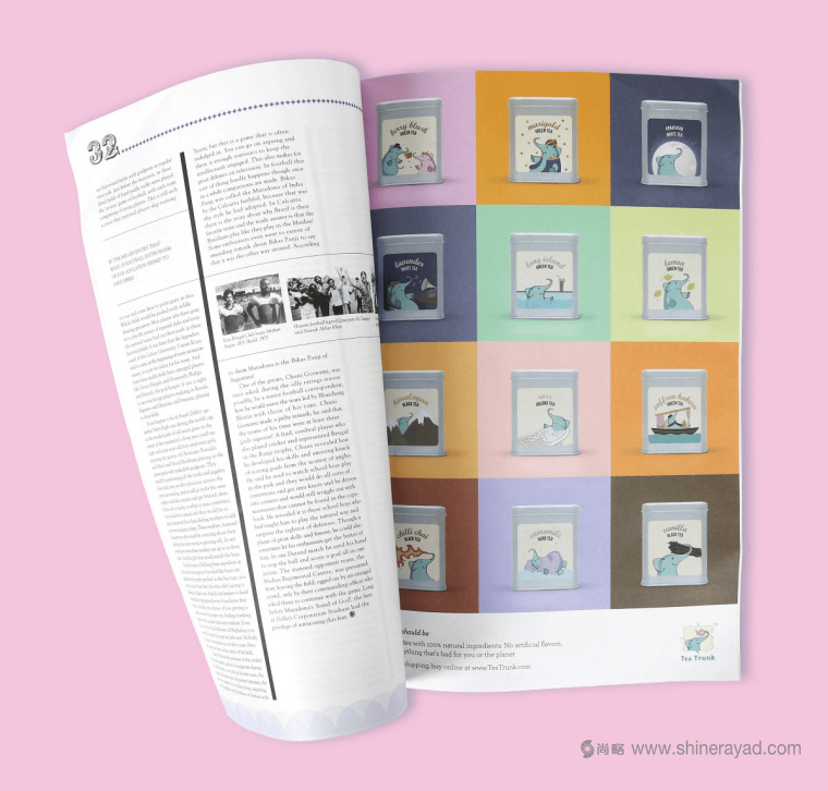 印度 Tea Trunk 茶葉品牌小象吉祥物包裝設(shè)計(jì)-上海包裝設(shè)計(jì)公司16