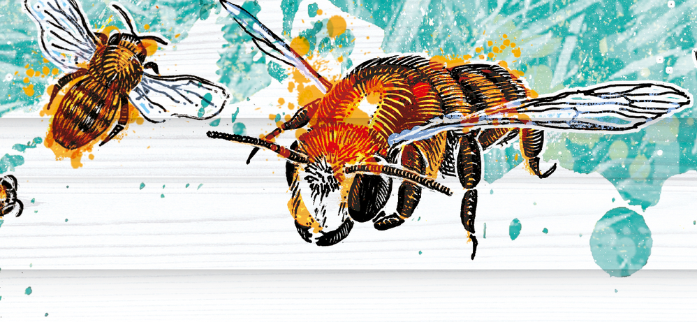 Abelha 有機(jī)甘蔗酒禮盒包裝設(shè)計(jì)蜜蜂插畫設(shè)計(jì)-上海包裝設(shè)計(jì)公司1