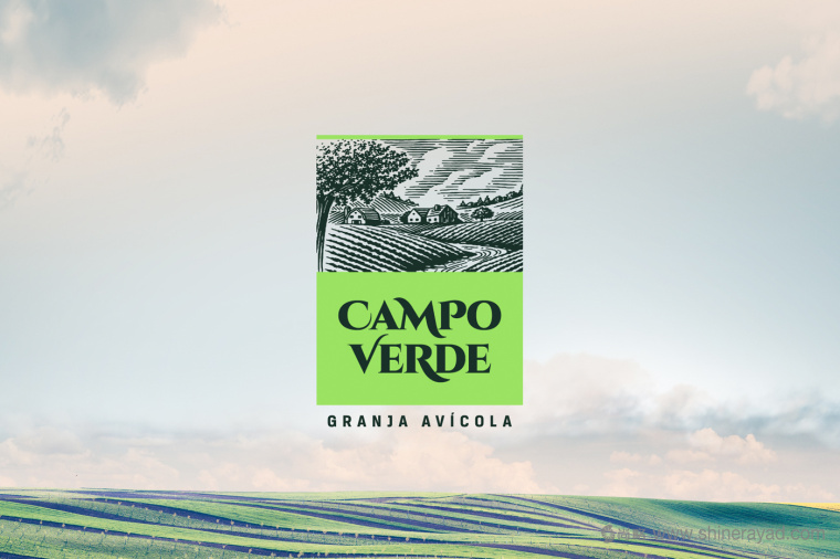 雞蛋主視覺插畫設(shè)計與雞蛋包裝設(shè)計-上海包裝設(shè)計公司2