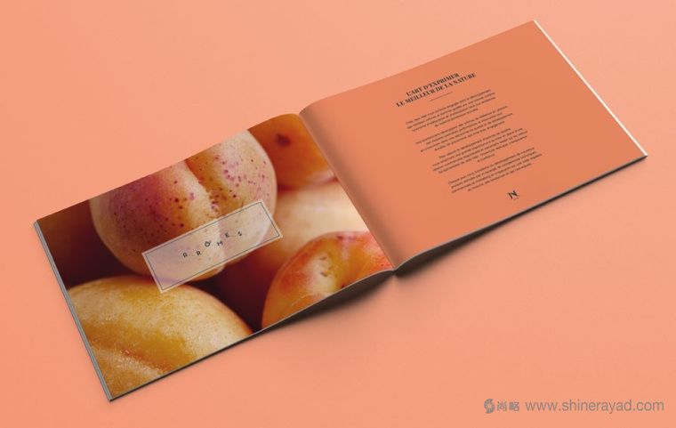 Jean Niel 香精香料公司純字母logo設(shè)計(jì)-上海logo設(shè)計(jì)公司4 Jean Niel 香精香料公司純字母logo設(shè)計(jì)-上海logo設(shè)計(jì)公司4