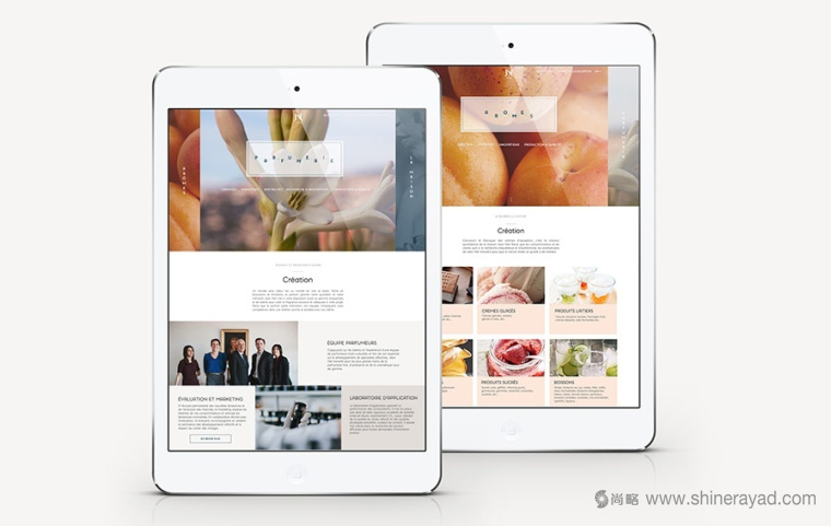 Jean Niel 香精香料公司純字母logo設(shè)計(jì)VI設(shè)計(jì)-上海VI設(shè)計(jì)公司7 Jean Niel 香精香料公司純字母logo設(shè)計(jì)VI設(shè)計(jì)-上海VI設(shè)計(jì)公司7