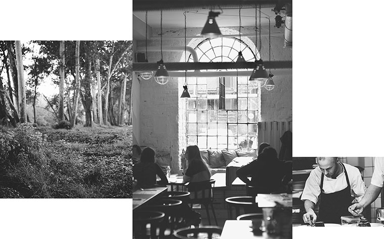 尼約德有機(jī)餐廳餐飲logo設(shè)計(jì)VI設(shè)計(jì)-菜單設(shè)計(jì)-上海VI設(shè)計(jì)公司 尼約德有機(jī)餐廳餐飲logo設(shè)計(jì)VI設(shè)計(jì)-菜單設(shè)計(jì)-上海VI設(shè)計(jì)公司