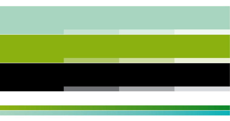 Braga國際性醫(yī)療保健醫(yī)院標(biāo)志設(shè)計-上海標(biāo)志設(shè)計公司