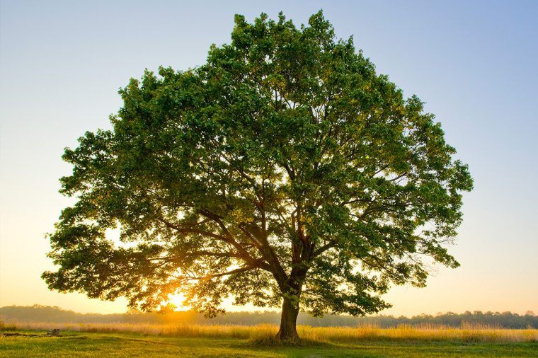 AURORA 太陽能公司PPT演示模板設計-上海品牌設計公司