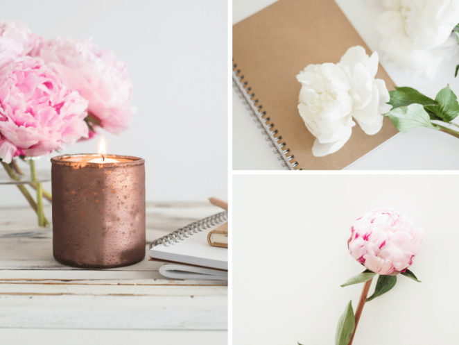 The Bloom 鮮花園藝logo設計品牌視覺形象設計-上海品牌設計公司 The Bloom 鮮花園藝logo設計品牌視覺形象設計-上海品牌設計公司