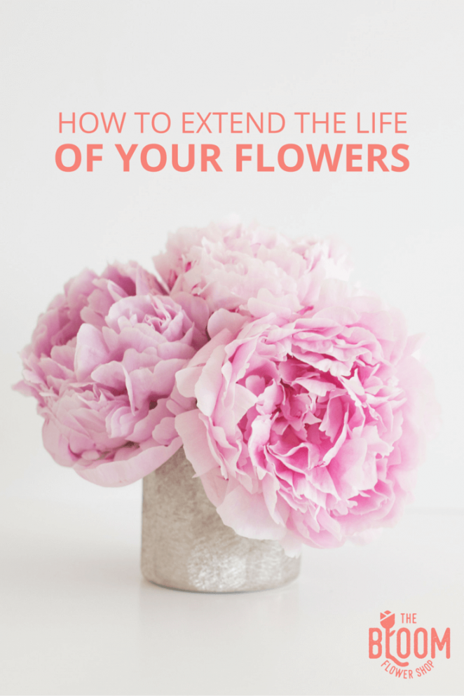 The Bloom 鮮花園藝logo設計品牌視覺形象設計-上海品牌設計公司 The Bloom 鮮花園藝logo設計品牌視覺形象設計-上海品牌設計公司