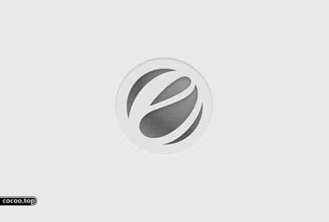 表象符號在標志設計中的藝術應用-一般表象和個體表象 表象符號在標志設計中的藝術應用-一般表象和個體表象