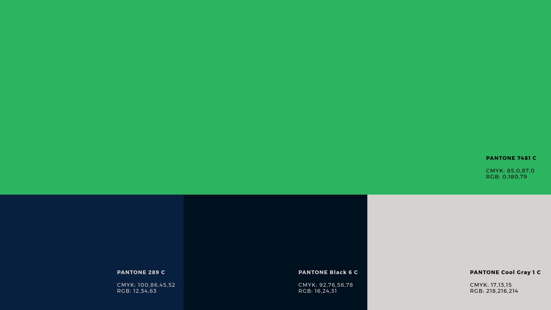 波浪線性風格標志設計VI設計- RSBR巴西地震網(wǎng)絡站品牌形象重塑