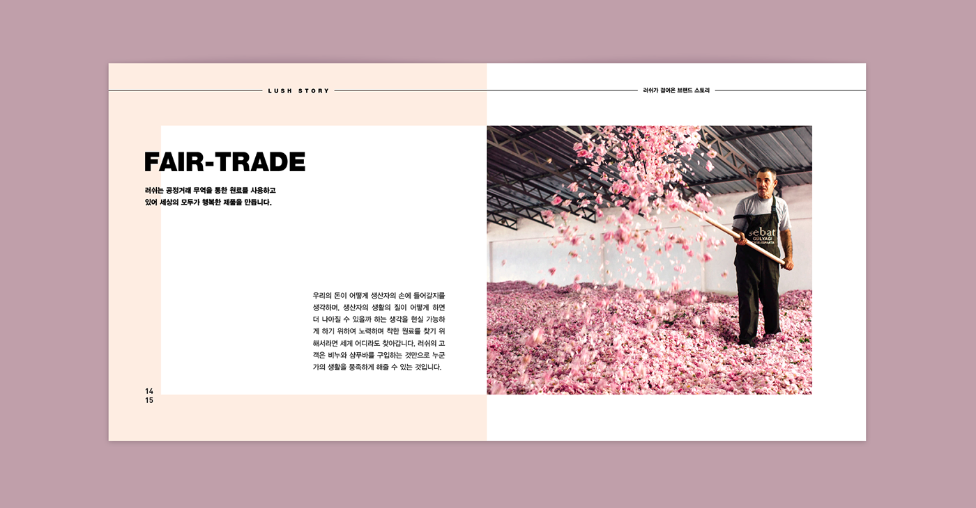 “方形”元素LUSH 糕點(diǎn)罐頭美食學(xué)校畫冊(cè)設(shè)計(jì)－上海畫冊(cè)設(shè)計(jì)公司