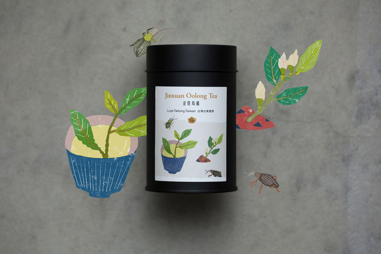 臺(tái)灣芳香茶茶葉包裝設(shè)計(jì)”臺(tái)灣自然植物插畫(huà)篇“