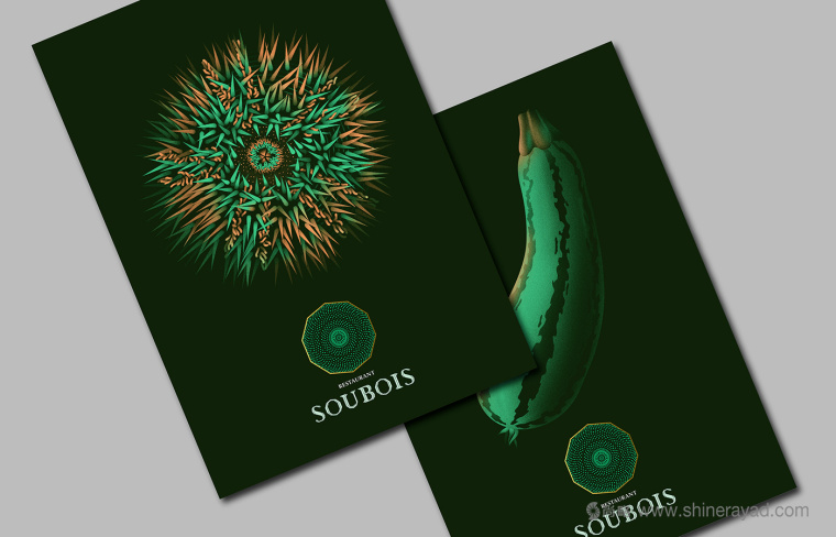 soubois酒館酒吧夜總會logo設計、品牌VI形象設計