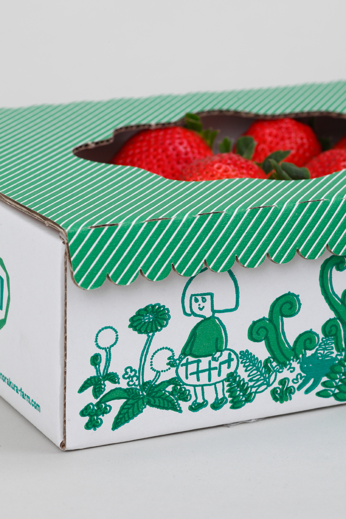 流浪者農(nóng)場草莓包裝設(shè)計手繪插畫設(shè)計-上海農(nóng)產(chǎn)品包裝設(shè)計公司