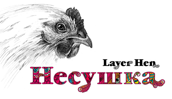 Layer Hen 雞蛋盒包裝設(shè)計“母雞插畫篇”-上海農(nóng)產(chǎn)品包裝設(shè)計公司