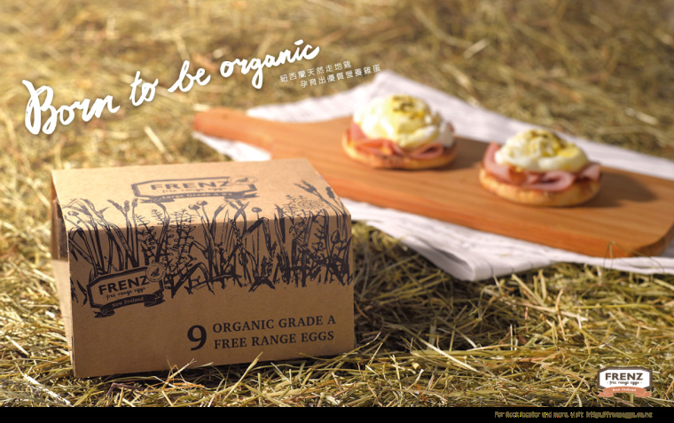 Frenz全瓦楞紙雞蛋環(huán)保包裝設(shè)計(jì)-上海包裝設(shè)計(jì)公司