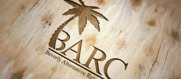 貝弗利替代救濟中心棕櫚樹logo-上海logo設(shè)計公司-上海品牌設(shè)計公司 貝弗利替代救濟中心棕櫚樹logo-上海logo設(shè)計公司-上海品牌設(shè)計公司