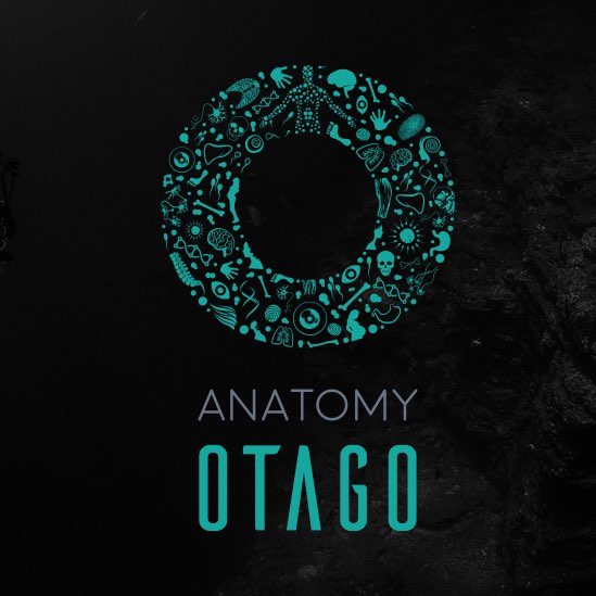 專業(yè)學校標志設計-上海標志設計公司 專業(yè)學校標志設計-上海標志設計公司