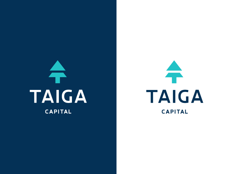 Deividas Bielskis為Taiga創(chuàng)作的銀行Logo設(shè)計-上海標(biāo)志設(shè)計公司