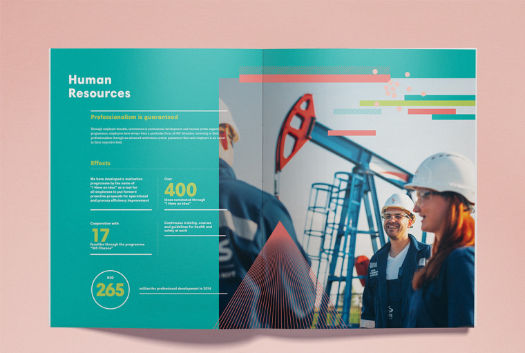 NIS企業(yè)年度報告畫冊設(shè)計-完美的信息圖表設(shè)計與配色設(shè)計-上海畫冊設(shè)計公司