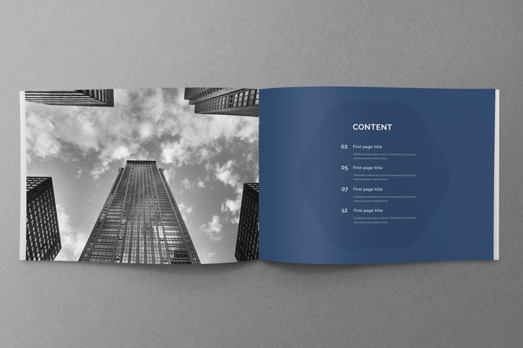 商務(wù)風(fēng)格品牌藍色公司簡介手冊設(shè)計上海畫冊設(shè)計公司