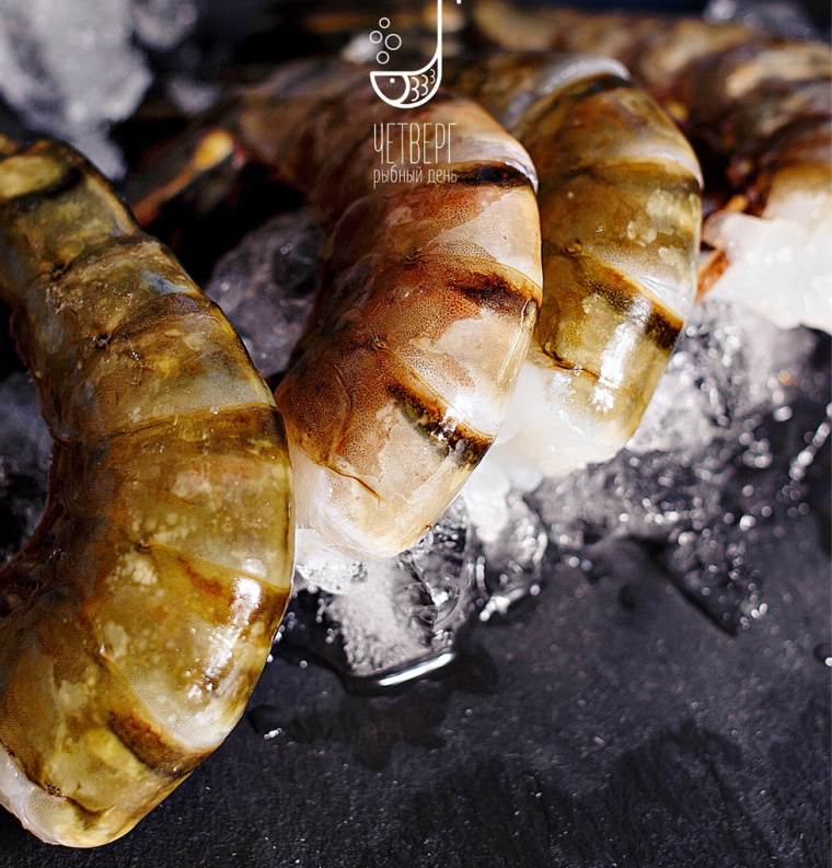 Chetverg - 魚日餐廳魚logo設(shè)計(jì)-上海餐飲品牌VI設(shè)計(jì)公司