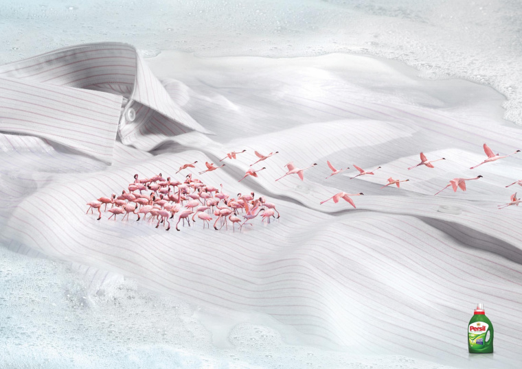 碧浪洗衣粉動物遷徙篇平面廣告創(chuàng)意設(shè)計-上海品牌策劃設(shè)計廣告策劃設(shè)計公司