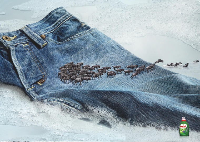 碧浪洗衣粉動物遷徙篇平面廣告創(chuàng)意設計-上海品牌策劃設計廣告策劃設計公司