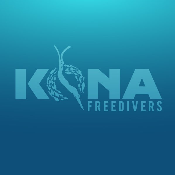 充滿運(yùn)動(dòng)感的魚(yú)logo設(shè)計(jì)-上海logo設(shè)計(jì)公司-上海品牌設(shè)計(jì)公司