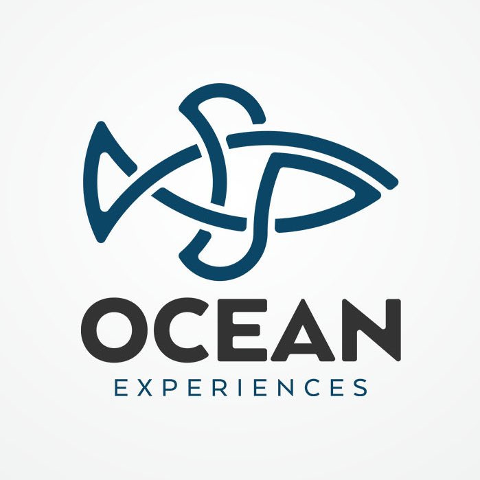 充滿運(yùn)動(dòng)感的魚(yú)logo設(shè)計(jì)-上海logo設(shè)計(jì)公司-上海品牌設(shè)計(jì)公司