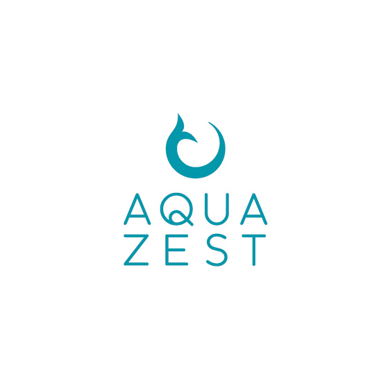 有趣的抽象魚(yú)概念logo設(shè)計(jì)-上海logo設(shè)計(jì)公司-上海品牌設(shè)計(jì)公司