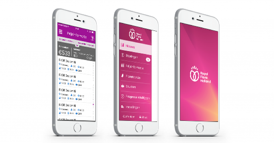 Royal Flora Holland 鮮花花卉種植合作社品牌VI設(shè)計(jì)-上海VI設(shè)計(jì)公司