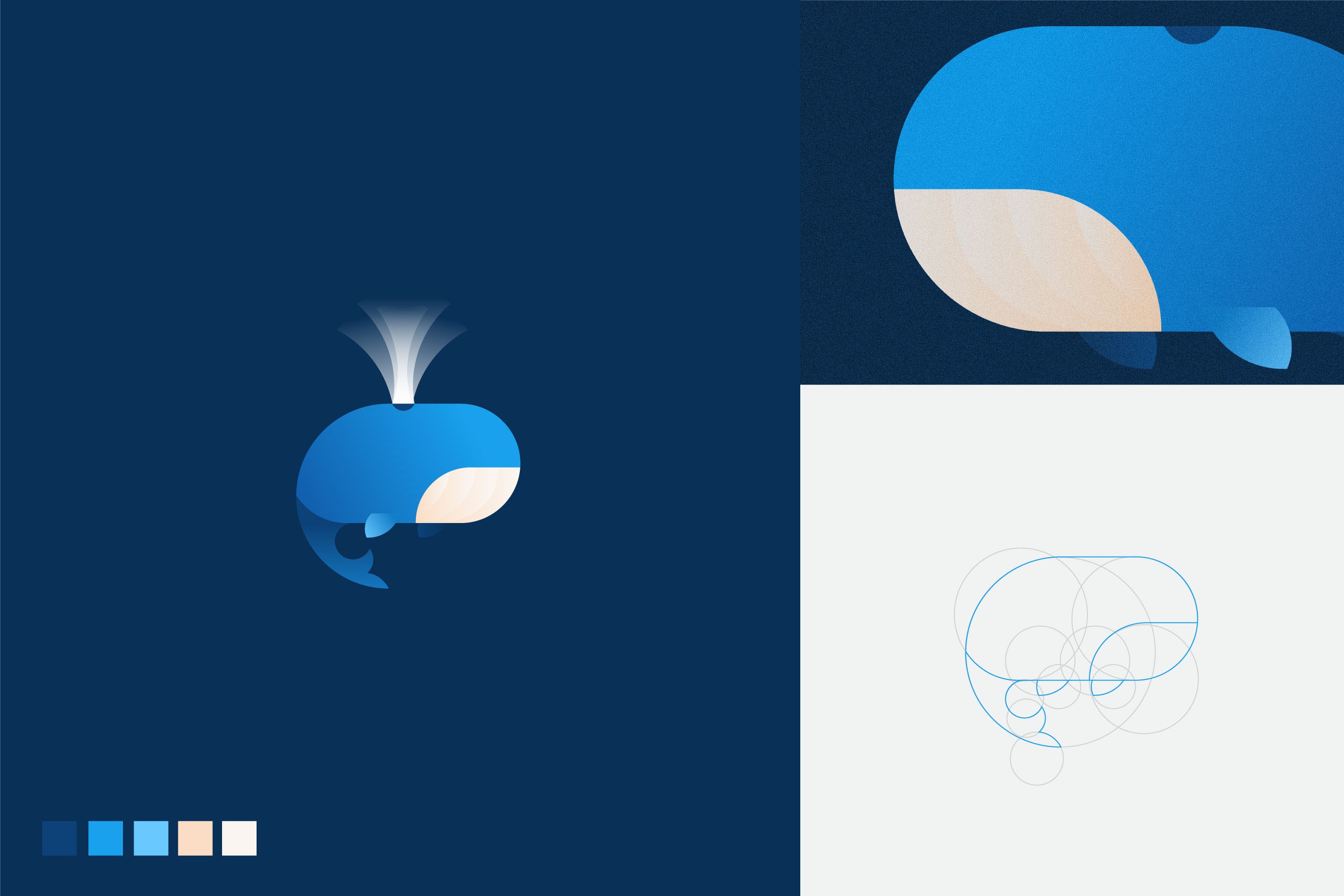 藍(lán)色鯨魚logo-黃金分割比例設(shè)計(jì)的幾何圖形動(dòng)物logo設(shè)計(jì)圖片欣賞-上海logo設(shè)計(jì)公司