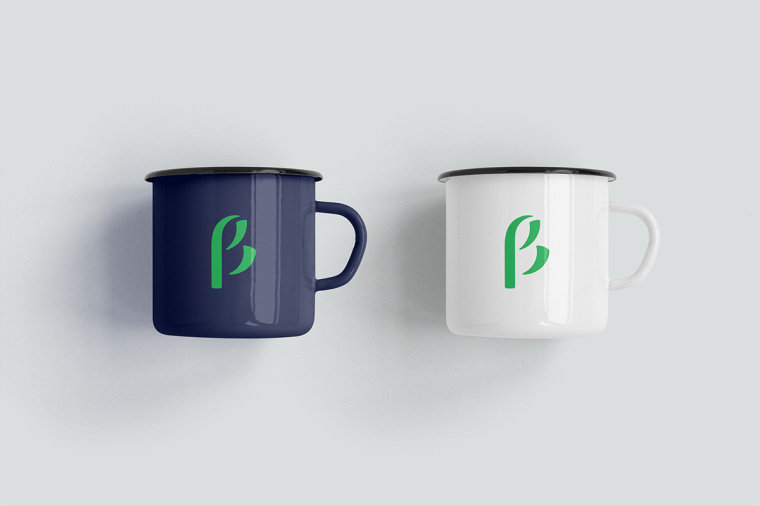 生物學(xué)社會組織“Dr. Sava Petrovic博士”品牌視覺識別VI設(shè)計-上海VI設(shè)計公司