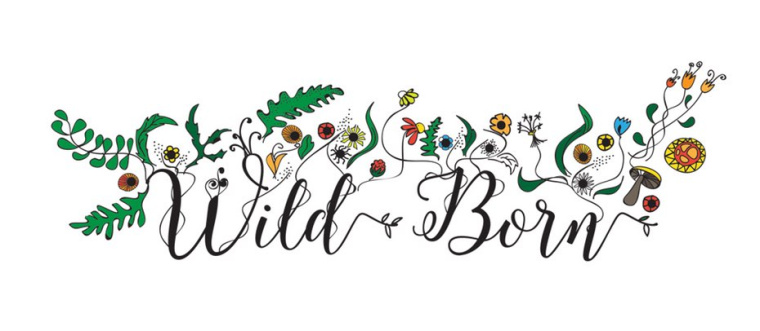 豐富多彩（異想天開）logo--健康logo設(shè)計(jì)趨勢(shì)-上海logo設(shè)計(jì)公司