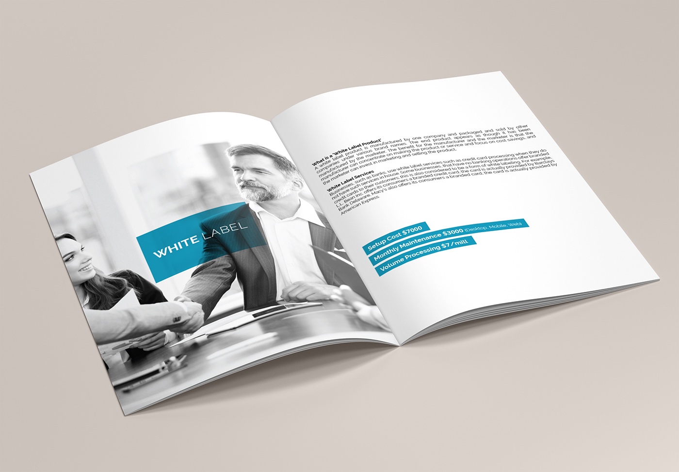 塞浦路斯自貿(mào)科技公司藍色簡約風(fēng)格宣傳冊-上海宣傳畫冊設(shè)計公司