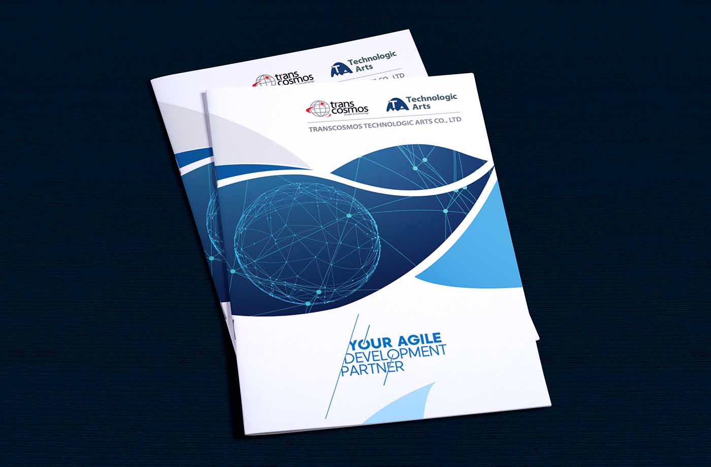 越南創(chuàng)世紀(jì)科技藝術(shù)公司商務(wù)風(fēng)格宣傳冊-上海宣傳冊設(shè)計公司