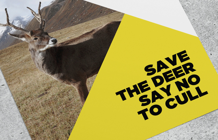 拯救野生鹿群動(dòng)物公益品牌VI形象設(shè)計(jì)-上海品牌VI設(shè)計(jì)公司 拯救野生鹿群動(dòng)物公益品牌VI形象設(shè)計(jì)-上海品牌VI設(shè)計(jì)公司