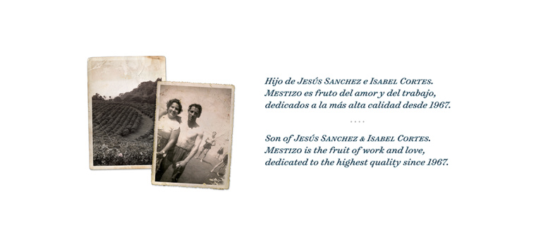 Mestizo 金屬罐裝咖啡概念包裝設(shè)計插畫設(shè)計欣賞-上海包裝設(shè)計公司