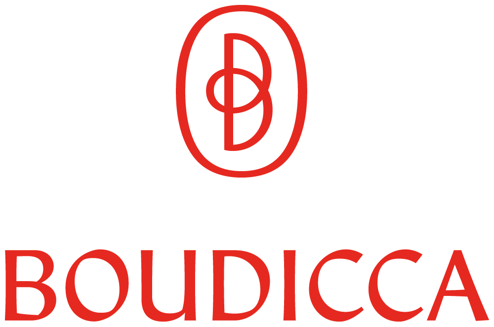 Boudicca 公司股權(quán)投資治理顧問公司新標(biāo)識(shí)logo設(shè)計(jì)-上海logo設(shè)計(jì)公司