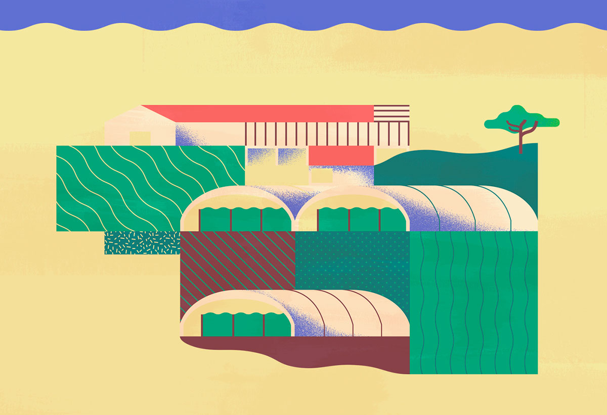 上海品牌設(shè)計(jì)公司欣賞：Maravilha農(nóng)場(chǎng)農(nóng)業(yè)種植插畫設(shè)計(jì)