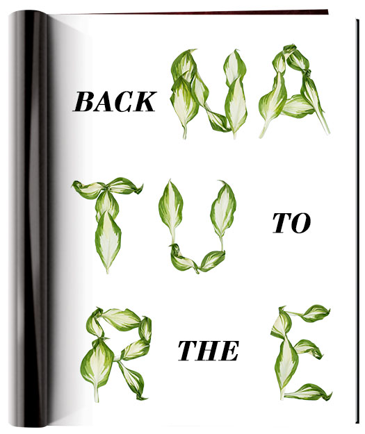 葉子創(chuàng)意英文字體設計-上海品牌設計公司