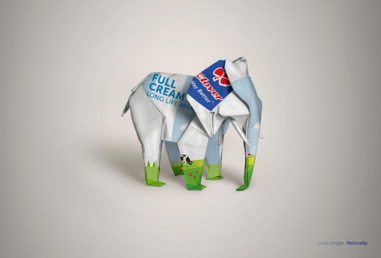 三葉草長壽命牛奶平面廣告創(chuàng)意設(shè)計(jì)“包裝盒創(chuàng)意篇-大象”-上海廣告策劃設(shè)計(jì)公司
