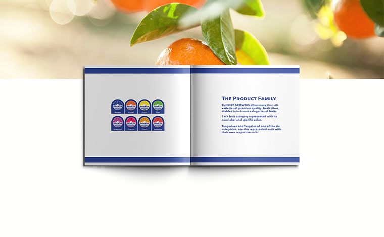 Sunkist 水果品牌logo設(shè)計(jì)VI設(shè)計(jì)-上海logo設(shè)計(jì)VI設(shè)計(jì)公司 Sunkist 水果品牌logo設(shè)計(jì)VI設(shè)計(jì)-上海logo設(shè)計(jì)VI設(shè)計(jì)公司