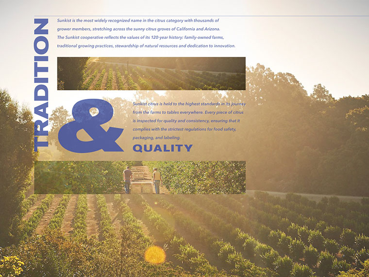 Sunkist 水果品牌logo設(shè)計(jì)VI設(shè)計(jì)-上海logo設(shè)計(jì)VI設(shè)計(jì)公司 Sunkist 水果品牌logo設(shè)計(jì)VI設(shè)計(jì)-上海logo設(shè)計(jì)VI設(shè)計(jì)公司