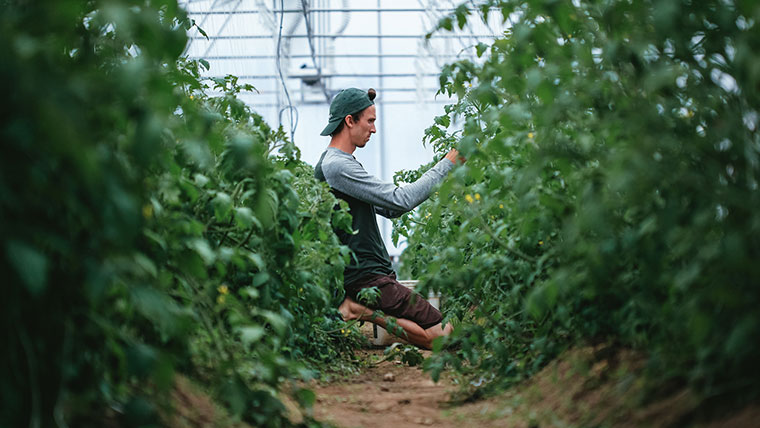Ferme 地?zé)釡厥肄r(nóng)場(chǎng)農(nóng)業(yè)品牌視覺形象設(shè)計(jì)-上海品牌設(shè)計(jì)公司 Ferme 地?zé)釡厥肄r(nóng)場(chǎng)農(nóng)業(yè)品牌視覺形象設(shè)計(jì)-上海品牌設(shè)計(jì)公司