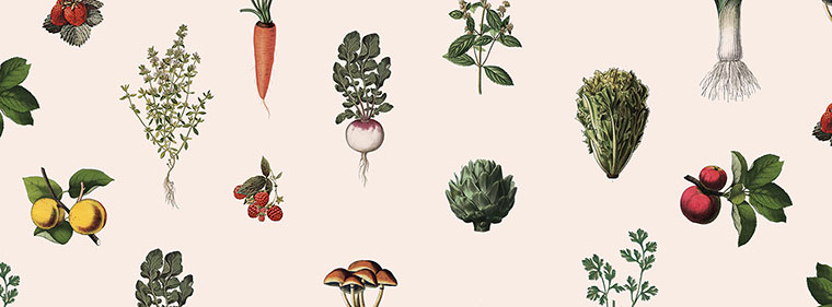 Ferme 地?zé)釡厥肄r(nóng)場(chǎng)農(nóng)業(yè)品牌視覺形象設(shè)計(jì)-上海品牌設(shè)計(jì)公司 Ferme 地?zé)釡厥肄r(nóng)場(chǎng)農(nóng)業(yè)品牌視覺形象設(shè)計(jì)-上海品牌設(shè)計(jì)公司