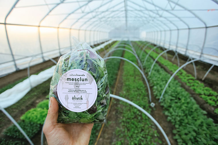 Ferme 地?zé)釡厥肄r(nóng)場(chǎng)農(nóng)業(yè)品牌視覺形象設(shè)計(jì)-上海品牌設(shè)計(jì)公司 Ferme 地?zé)釡厥肄r(nóng)場(chǎng)農(nóng)業(yè)品牌視覺形象設(shè)計(jì)-上海品牌設(shè)計(jì)公司