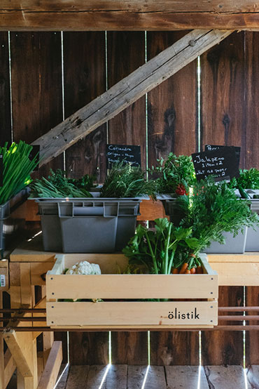 Ferme 地?zé)釡厥肄r(nóng)場(chǎng)農(nóng)業(yè)品牌視覺形象設(shè)計(jì)-上海品牌設(shè)計(jì)公司