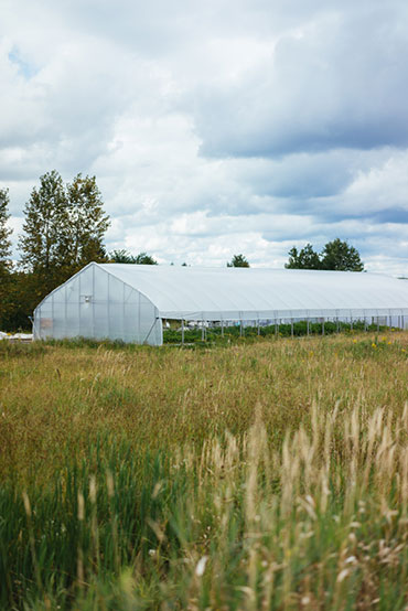 Ferme 地?zé)釡厥肄r(nóng)場(chǎng)農(nóng)業(yè)品牌視覺形象設(shè)計(jì)-上海品牌設(shè)計(jì)公司 Ferme 地?zé)釡厥肄r(nóng)場(chǎng)農(nóng)業(yè)品牌視覺形象設(shè)計(jì)-上海品牌設(shè)計(jì)公司