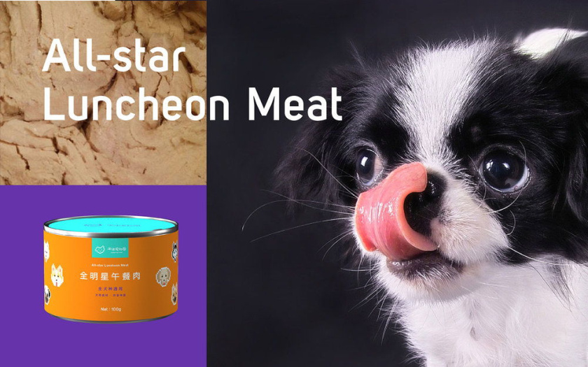 Nonda寵物店商品品牌包裝設計，馬賽克寵物插畫風格