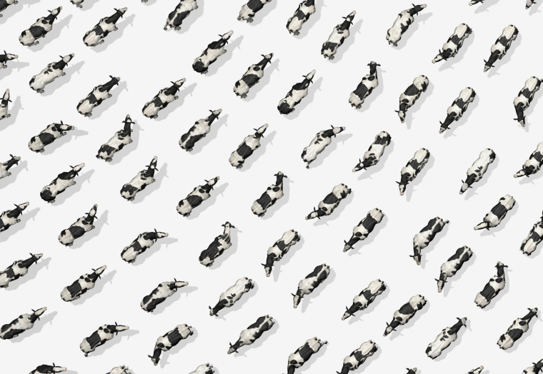 Purina 動(dòng)物飼料平面創(chuàng)意廣告設(shè)計(jì)“指紋-奶?！碧貙?xiě)